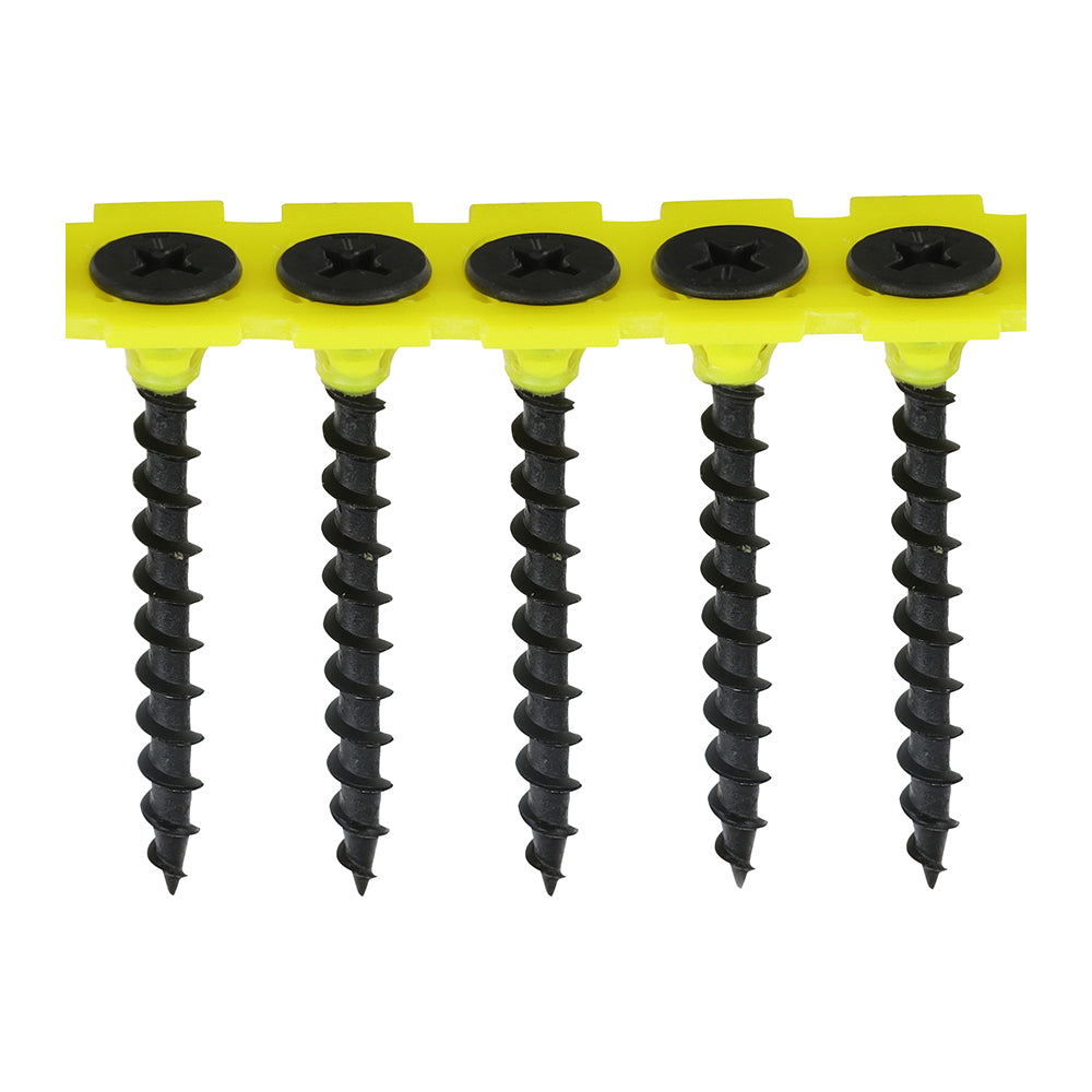 TIMCO - Collated Drywall Screws - PH - Bugle - Coarse Thread - Black