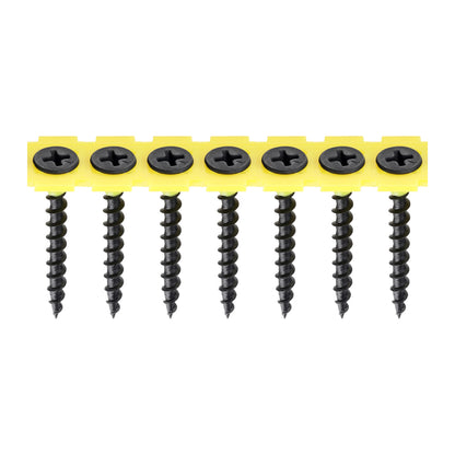 TIMCO - Collated Drywall Screws - PH - Bugle - Coarse Thread - Black
