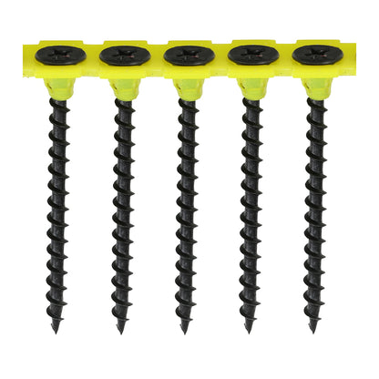 TIMCO - Collated Drywall Screws - PH - Bugle - Coarse Thread - Black