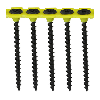 TIMCO - Collated Drywall Screws - PH - Bugle - Coarse Thread - Black
