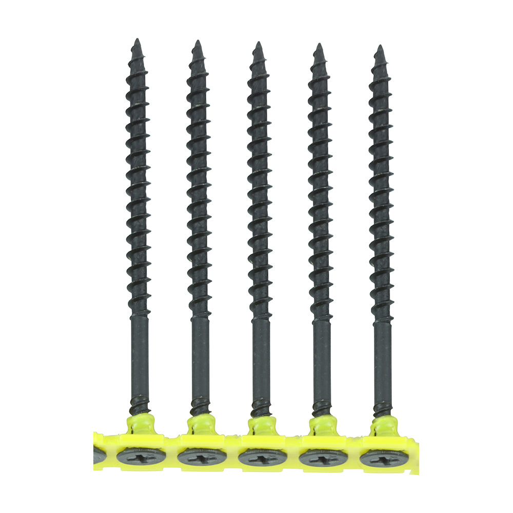 TIMCO - Collated Drywall Screws - PH - Bugle - Coarse Thread - Black